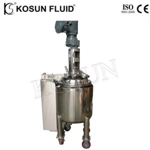 स्टेनलेस स्टील बायोरेक्टर